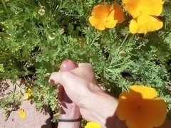 Stop to smell the flowers