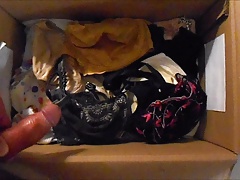 of bras in the box ...