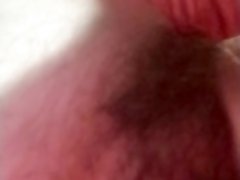 Single Male Masturbating Up Close and Ejaculates On the Camera! Covers Cam